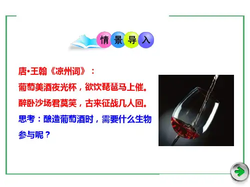 第五节人类对细菌和真菌的利用ppt课件