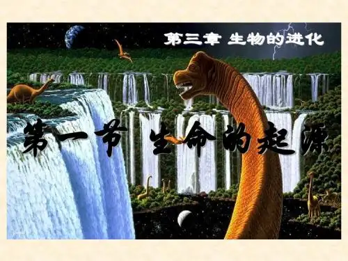 浙教版 生物的进化 PPT课件(上课用)2