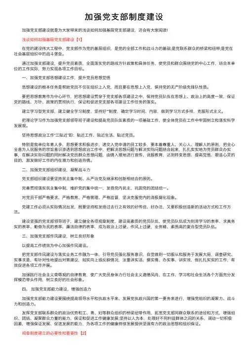加强党支部制度建设