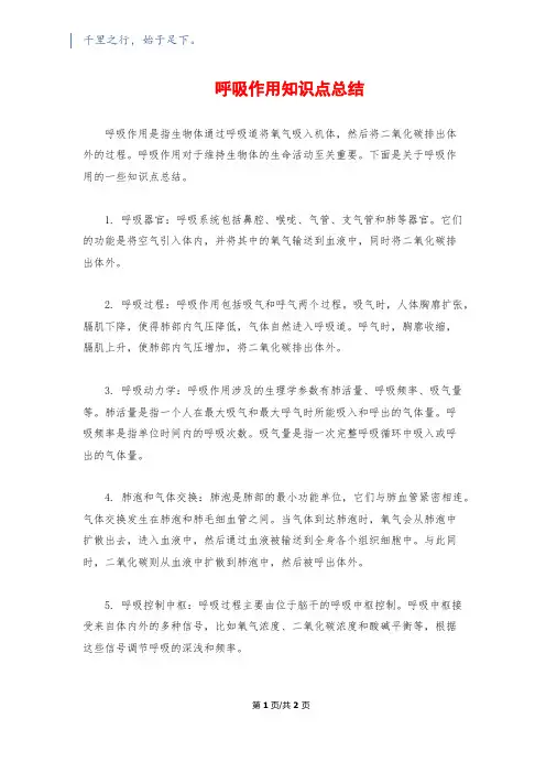 呼吸作用知识点总结