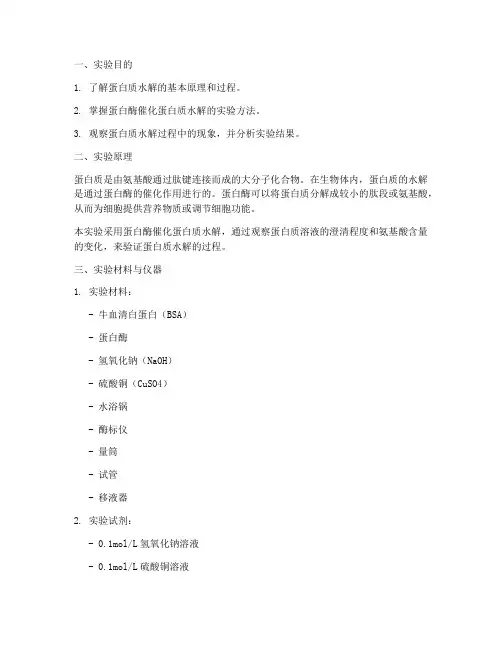 蛋白圈水解实验报告