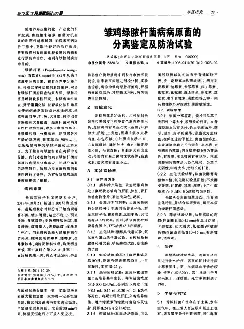 雏鸡绿脓杆菌病病原菌的分离鉴定及防治试验