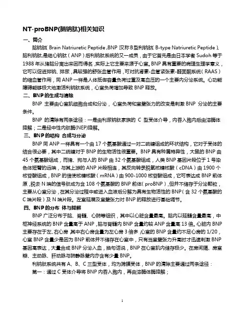 脑钠肽相关知识培训