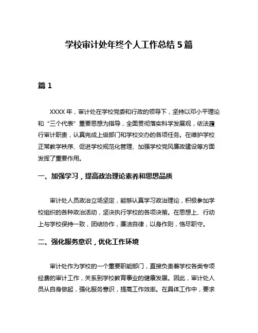 学校审计处年终个人工作总结5篇
