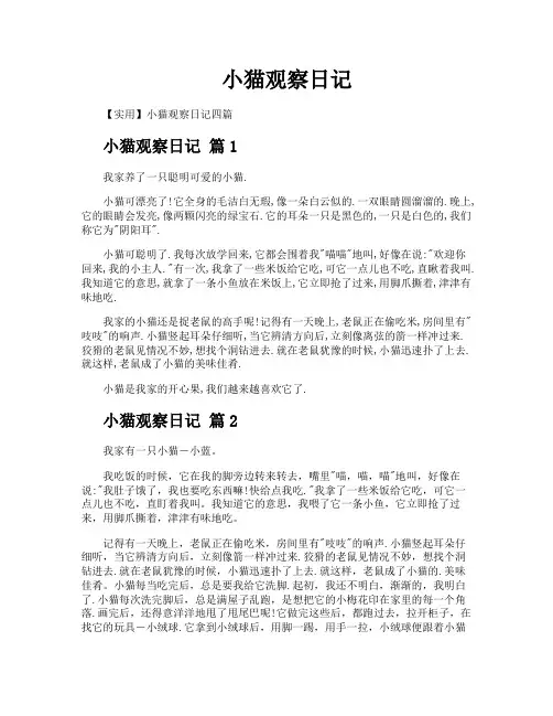 小猫观察日记