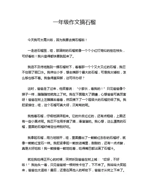 一年级作文摘石榴