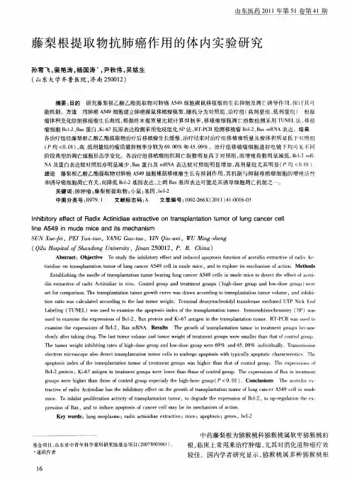 藤梨根提取物抗肺癌作用的体内实验研究