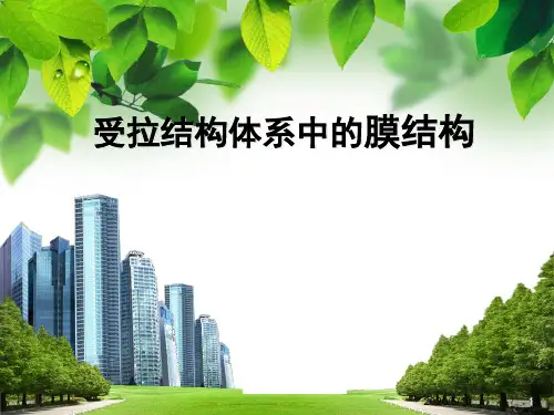 膜结构