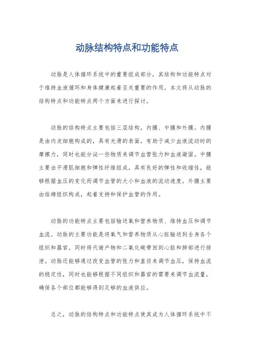 动脉结构特点和功能特点