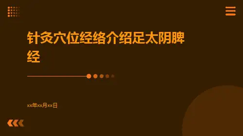 针灸穴位经络介绍足太阴脾经