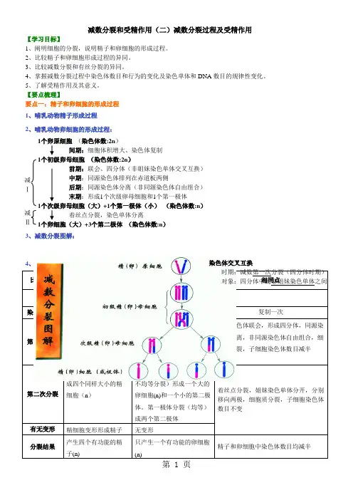 减数分裂和受精作用(二)减数分裂过程及受精作用(知识讲解)