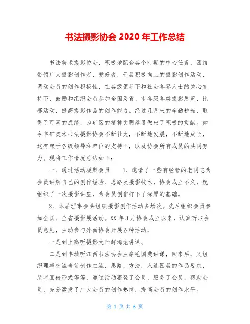 书法摄影协会2020年工作总结