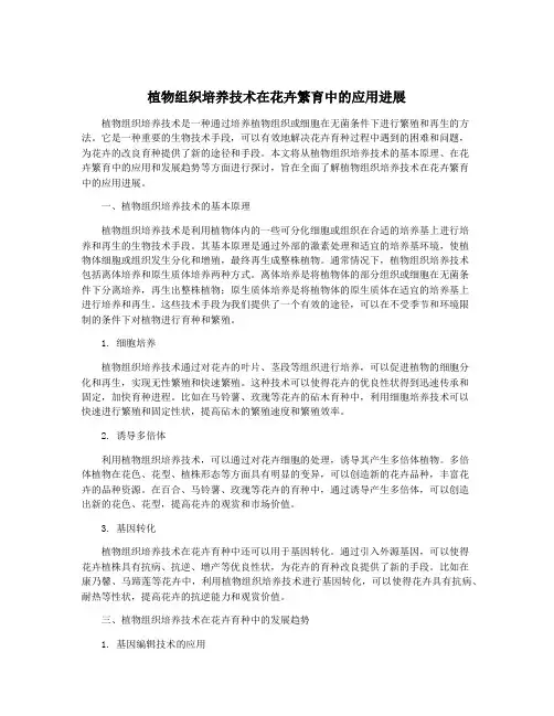 植物组织培养技术在花卉繁育中的应用进展
