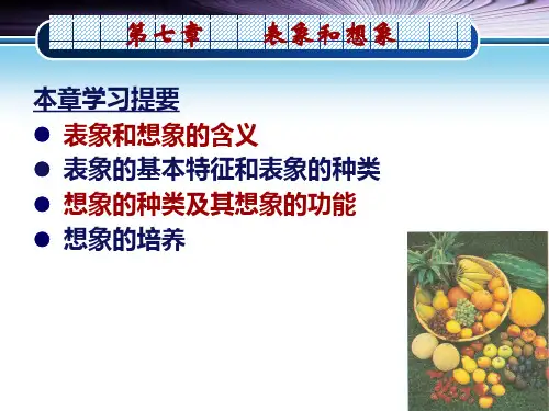 第七章 表象和想象2