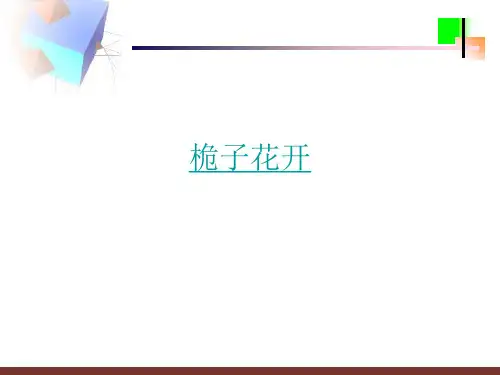 《花开应有时》主题班会_ppt