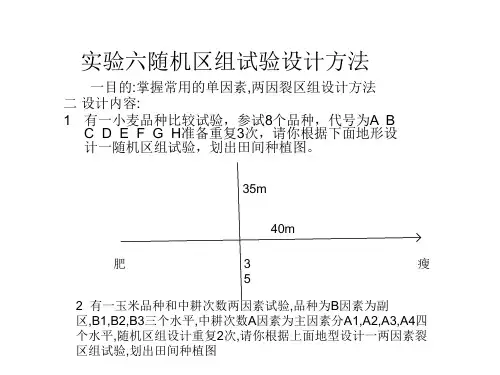 实验六随机区组试验设计方法