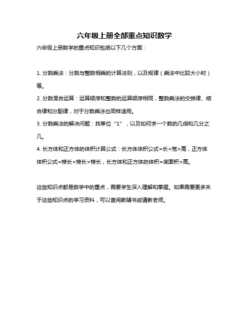 六年级上册全部重点知识数学