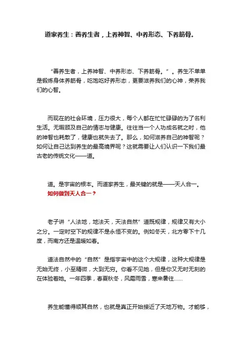 道家养生：善养生者，上养神智、中养形态、下养筋骨。