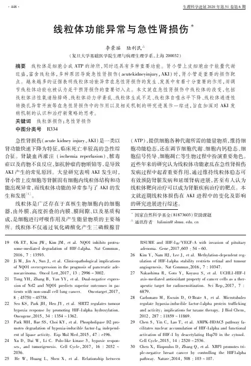 线粒体功能异常与急性肾损伤