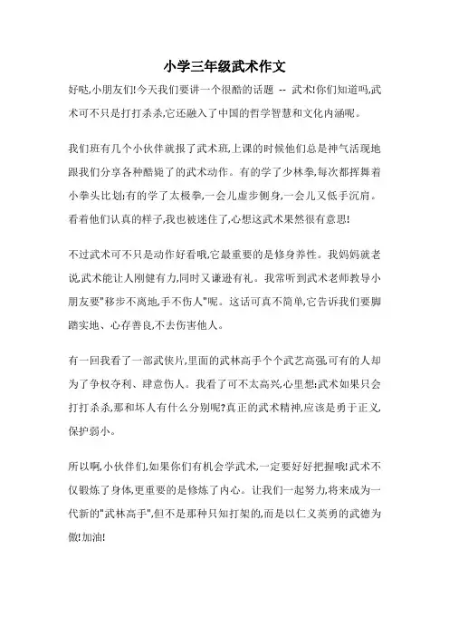 小学三年级武术作文