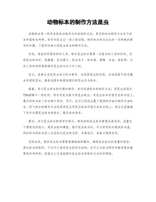 动物标本的制作方法昆虫