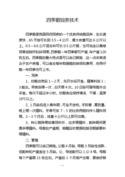 四季鹅饲养技术