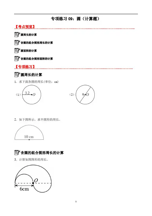 专项练习09：圆(计算题)六年级上册数学人教版