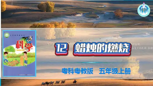 最新粤教版科学五年级上册课件12蜡烛的燃烧PPT