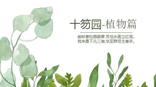 高中美术_十笏园植物赏析篇