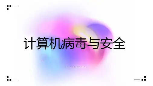 计算机病毒与安全