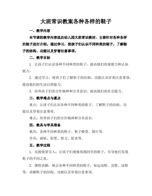 大班常识教案各种各样的鞋子