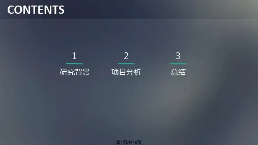 老年人住区宜居空间模式探索PPT课件