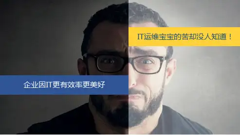 精品-IT运维整体解决方案ppt课件