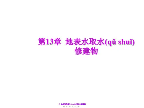 13 地标准表格水取水构筑物(共122张PPT)