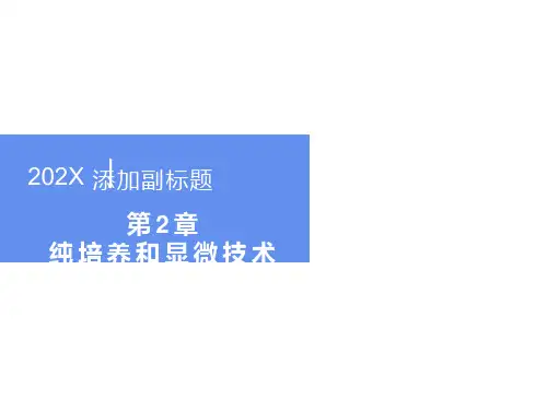 纯培养和显微技术