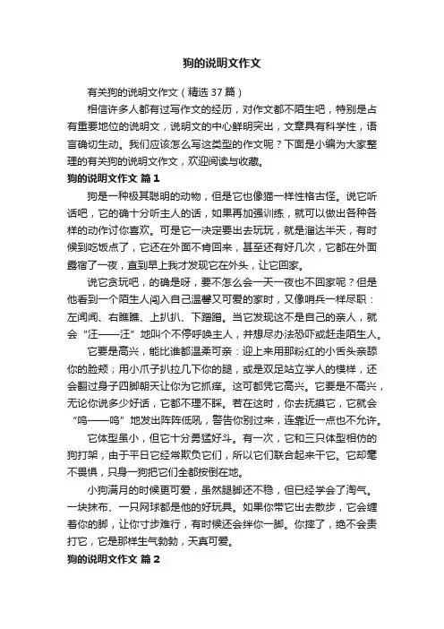有关狗的说明文作文（精选37篇）