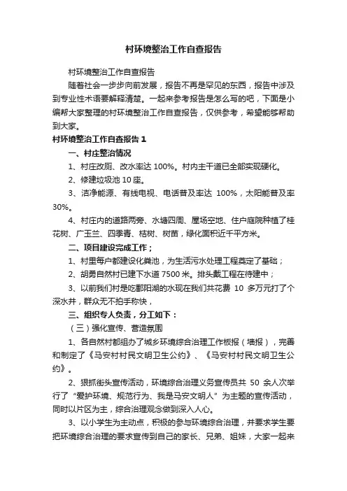 村环境整治工作自查报告