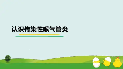 认识传染性喉气管炎课件(共29张PPT)《禽病防治》
