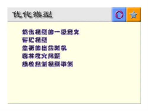 优化模型