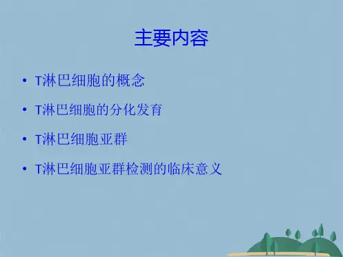 T淋巴细胞及其亚群检测的临床意义(共31张PPT)