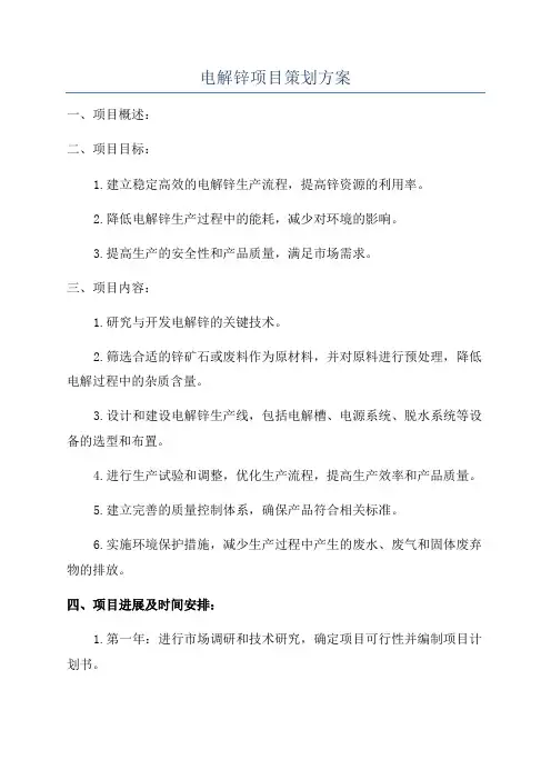 电解锌项目策划方案