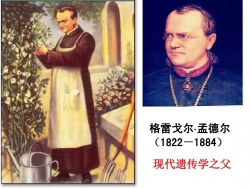 孟德尔遗传定律一