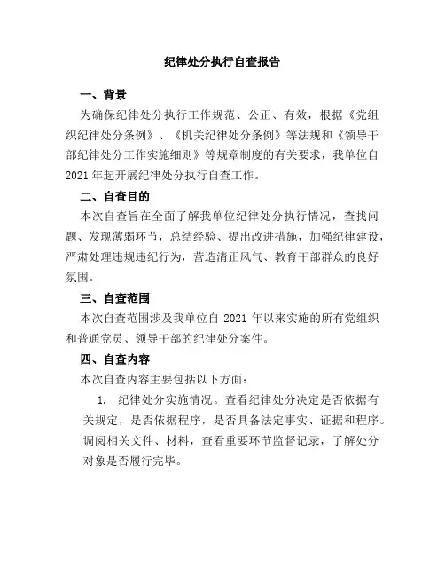 纪律处分执行自查报告