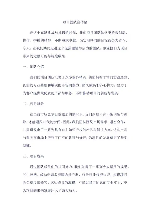 项目团队宣传稿