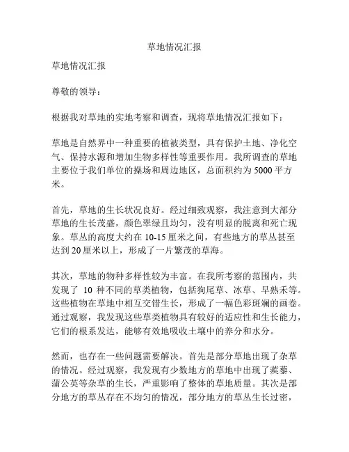 草地情况汇报