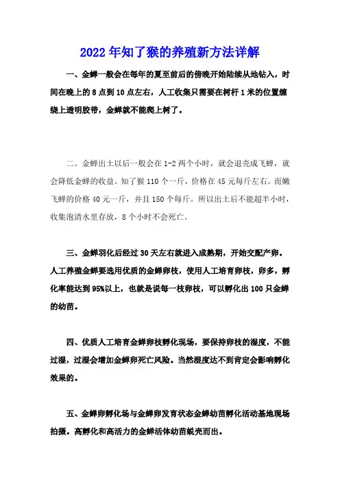 2022年知了猴的养殖新方法详解