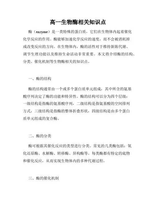 高一生物酶相关知识点