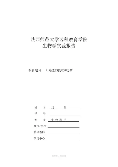 叶绿素的提取和分离实验报告