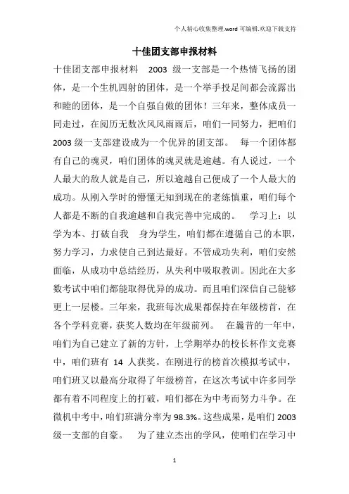 十佳团支部申报材料