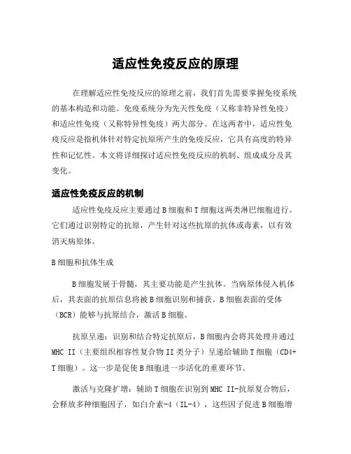 适应性免疫反应的原理